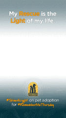 RMT24_Public_During_InstagramStory_1080x1920_Template