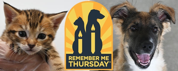 Remember Me Thursday - Home - Remember Me Thursday