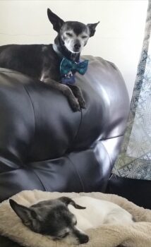 My baby girl and baby boy Pequitas & Ojitos